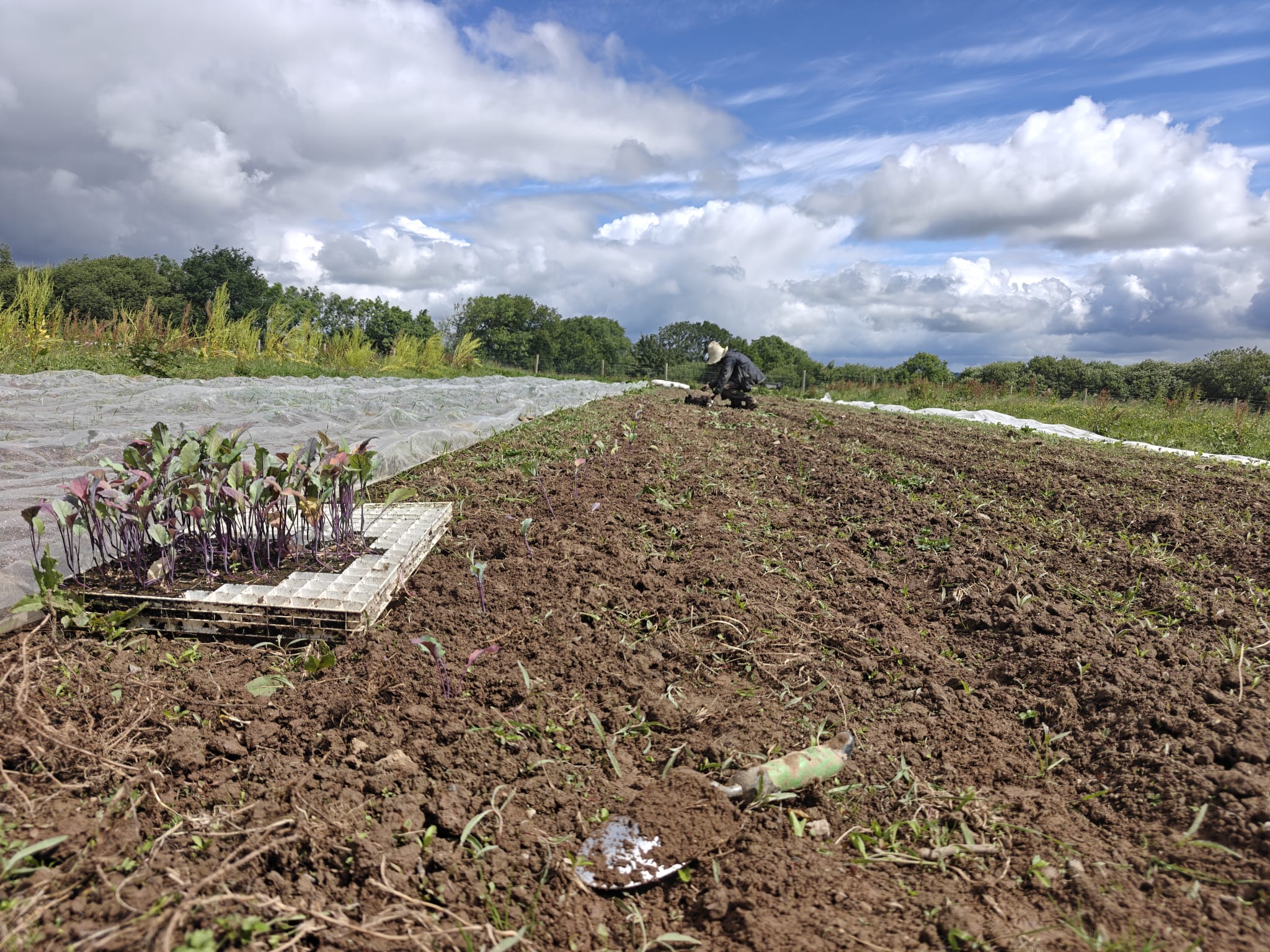 Working as a farm-hand in South West England
