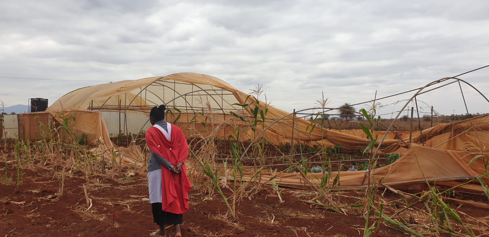 Collapsed greenhouse in rural Kenya