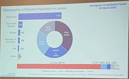 Demographics of Residual Population on Lesvos